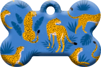 Gatos_26
